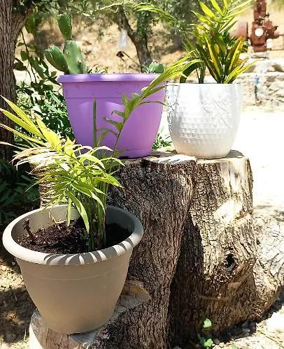 Lily Home_lefkada ~ Private Holiday home